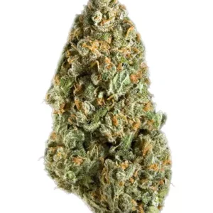 Mango Haze