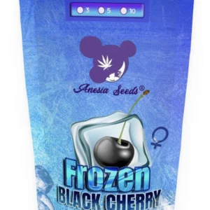 frozen black cherry​ | Backpackboyz